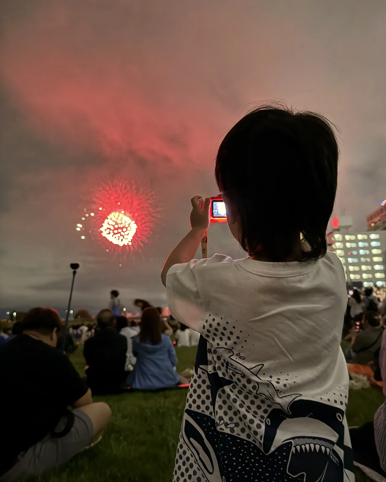 夜空中的煙火,草地上坐滿人,一個小孩背對鏡頭舉起相機在拍